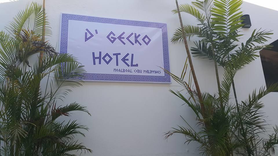 D'Gecko Hotel Моалбоал Экстерьер фото
